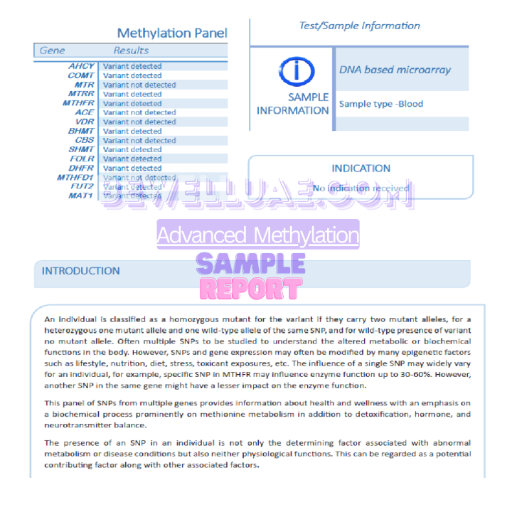 Image of Methylation Advanced